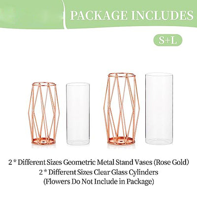 2Pcs/ Set Vase For Pampas Grass, Glass Rose Gold Vase High Bottom With Geometric Metal Frame Stand