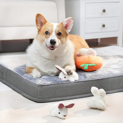 Jouets pour Chiens Peluche Cacher et Cacher Jouet de Jeu Lapin et Carotte Paquet de 5 Orange et Blanc