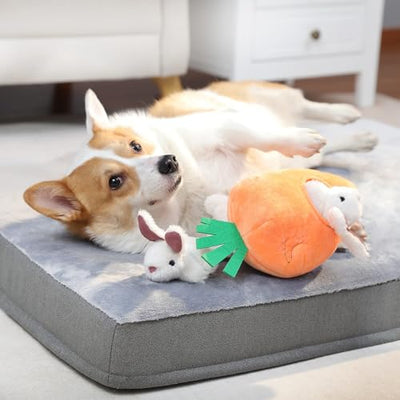 Jouets pour Chiens Peluche Cacher et Cacher Jouet de Jeu Lapin et Carotte Paquet de 5 Orange et Blanc