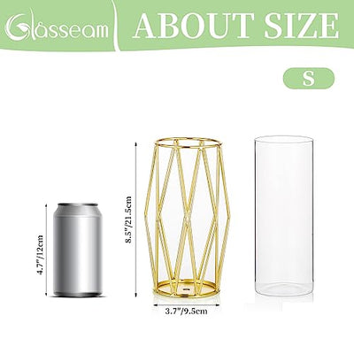 Vase For Pampas Grass, Glass Gold Vase High Floor Vase With Geometric Metal Frame Stand