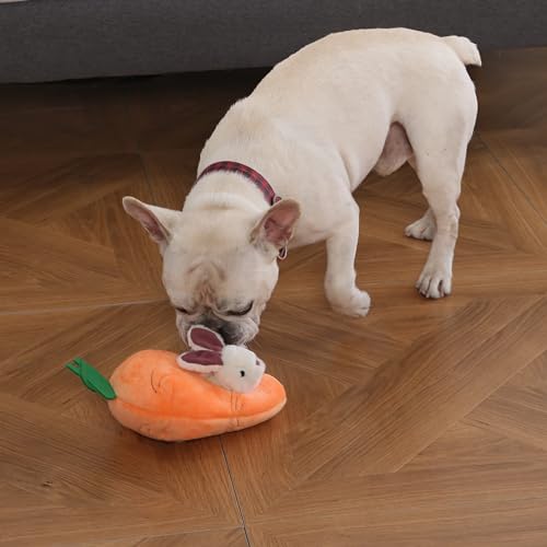 Jouets pour Chiens Peluche Cacher et Cacher Jouet de Jeu Lapin et Carotte Paquet de 5 Orange et Blanc