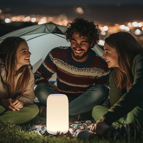 LED Bedside Lamp Touch Dimmable