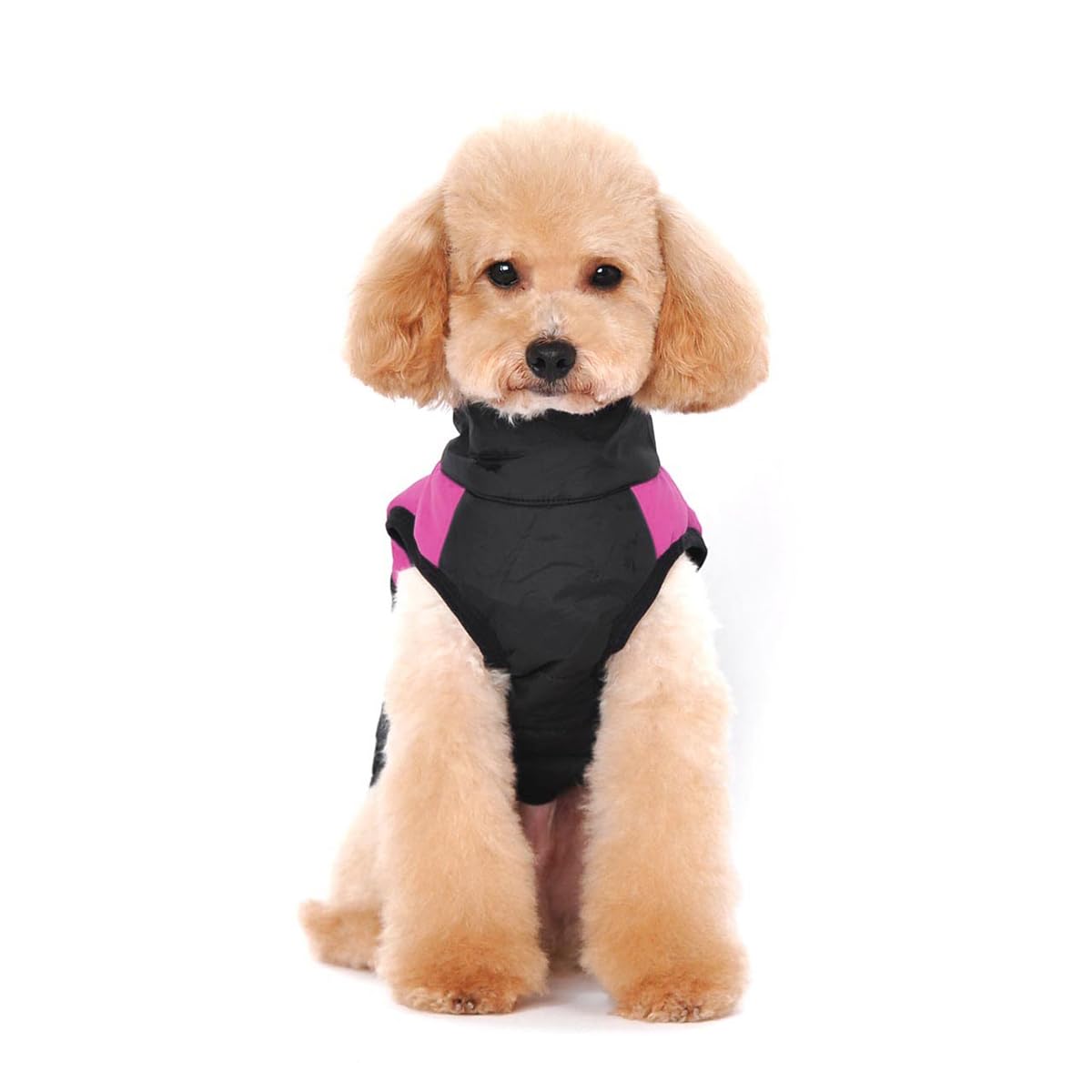 Winter Warm Pet Dog Clothes Small Waterproof