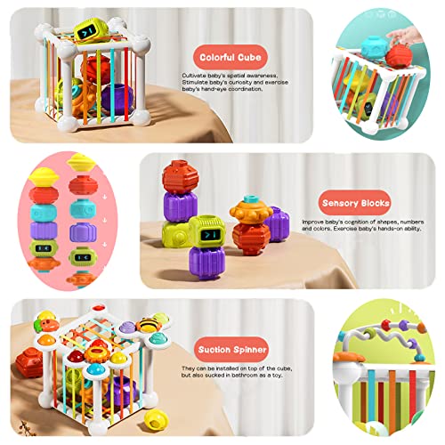 Baby toy Educational toy Motor skills toy Colorful shape sorter with 3 suction cup spinners and bead maze