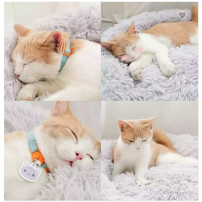 Cat Beds for Indoor Cats, Dog Bed for Small Melium Large Dogs