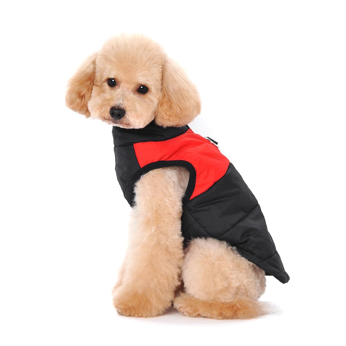 Vêtements d'hiver Chauds pour Chiens de Compagnie Petits Imperméables