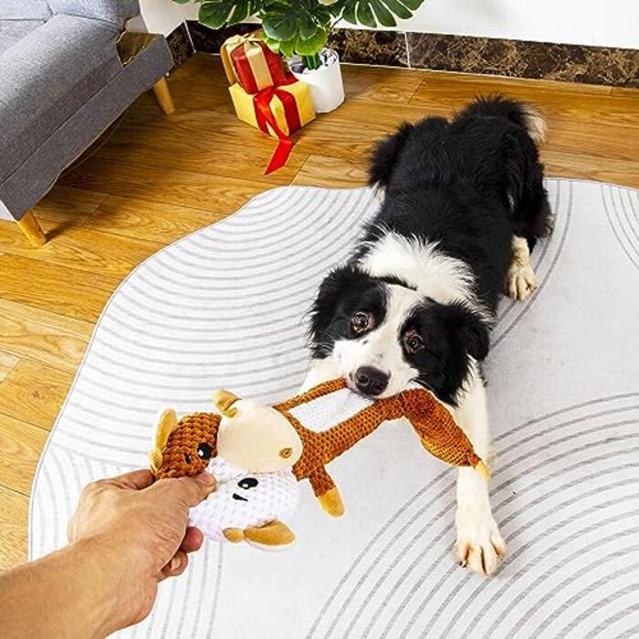 Intelligence Toy for Dogs, Dog Toy Small Big Dogs,Dog Toy Intelligence