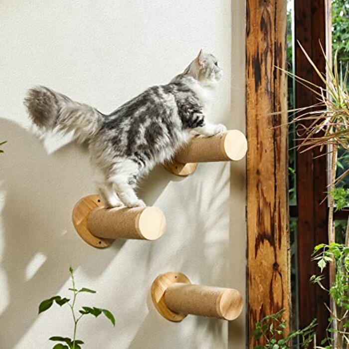 Cat stairs wall, climbing step (pack of 2), solid rubber wood