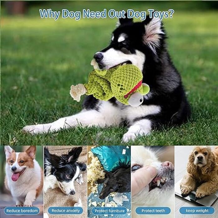 Intelligence Toy for Dogs, Squeaky Puppy Toy, Sniffing Toy Dog