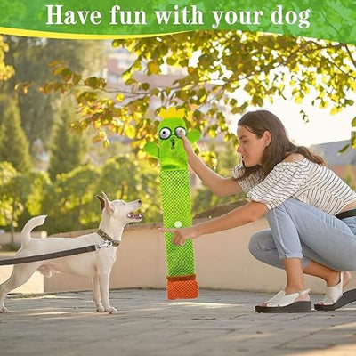 Intelligence Toy for Dogs, Squeaky Puppy Toy, Sniffing Toy Dog