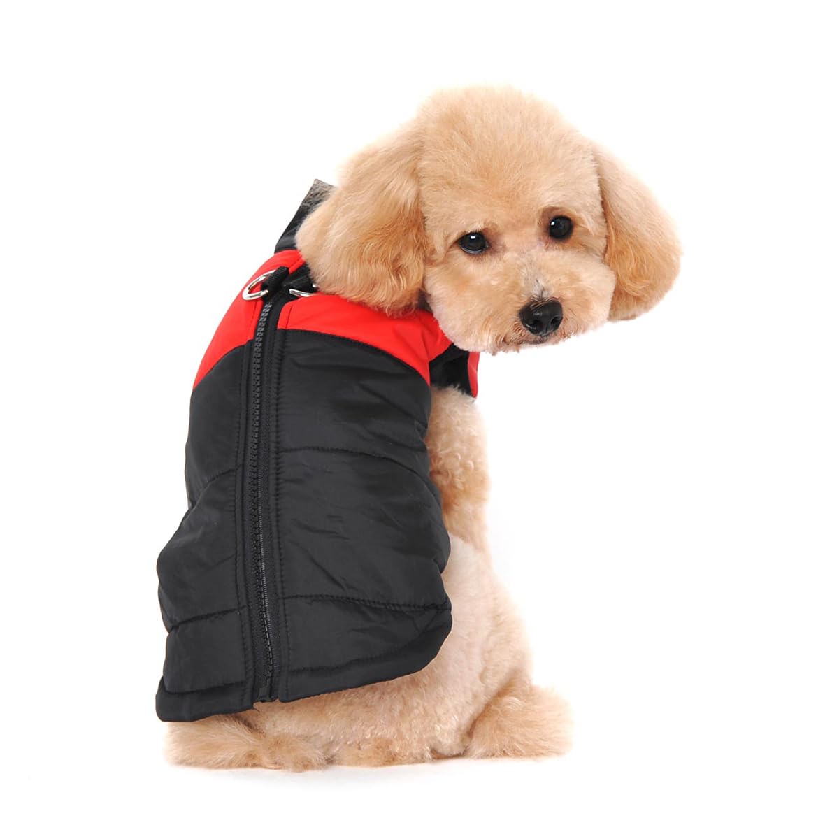 Vêtements d'hiver Chauds pour Chiens de Compagnie Petits Imperméables
