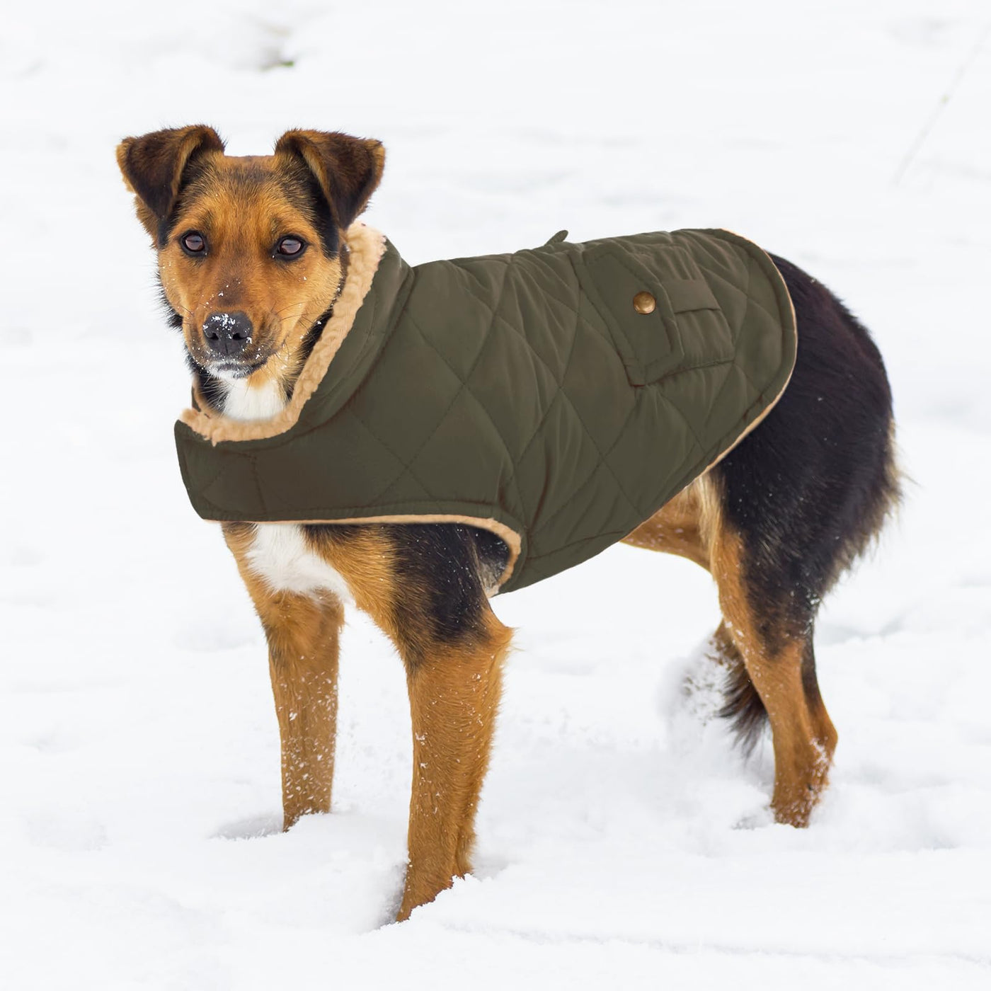 Winter Coat Dog Coat, Warm Winter Jackets with Fleece for Dogs