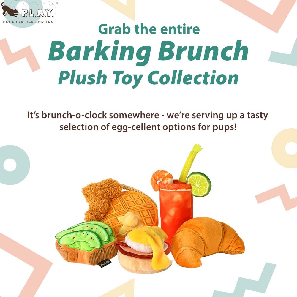 Style de vie des animaux et Vous Aboyez Collection Brunch AVO-Toast doggo