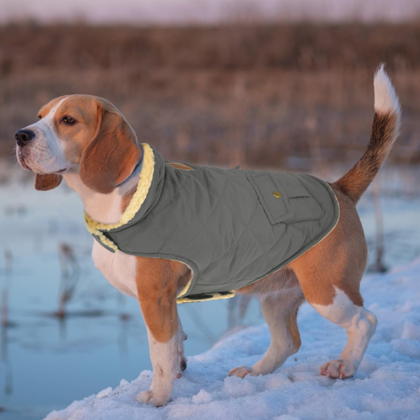 Winter Coat Dog Coat, Warm Winter Jackets with Fleece for Dogs