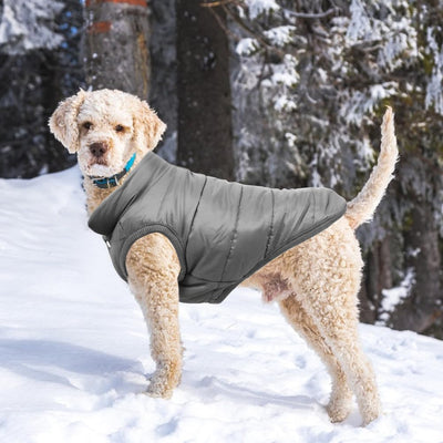 Dog Warm Jacket Dog Clothes Dog Cozy Jacket