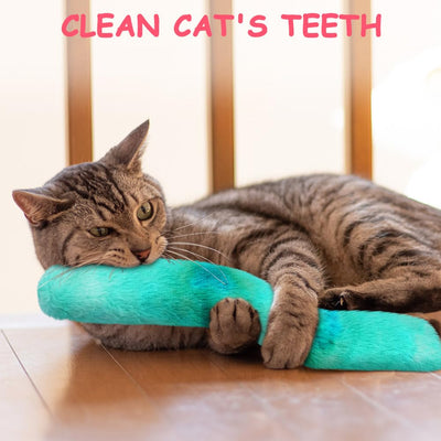 Jouet Pour Chat à L'Herbe à Chat 3 Pièces, Ensemble de jouets Pour Chat, Coussin Pour Chat avec Coussin de Valériane pour Chats à l'Herbe à Chat Coussin Câlin En Peluche, Jouet Apaisant Doux Et Moelleux pour Animaux de Compagnie