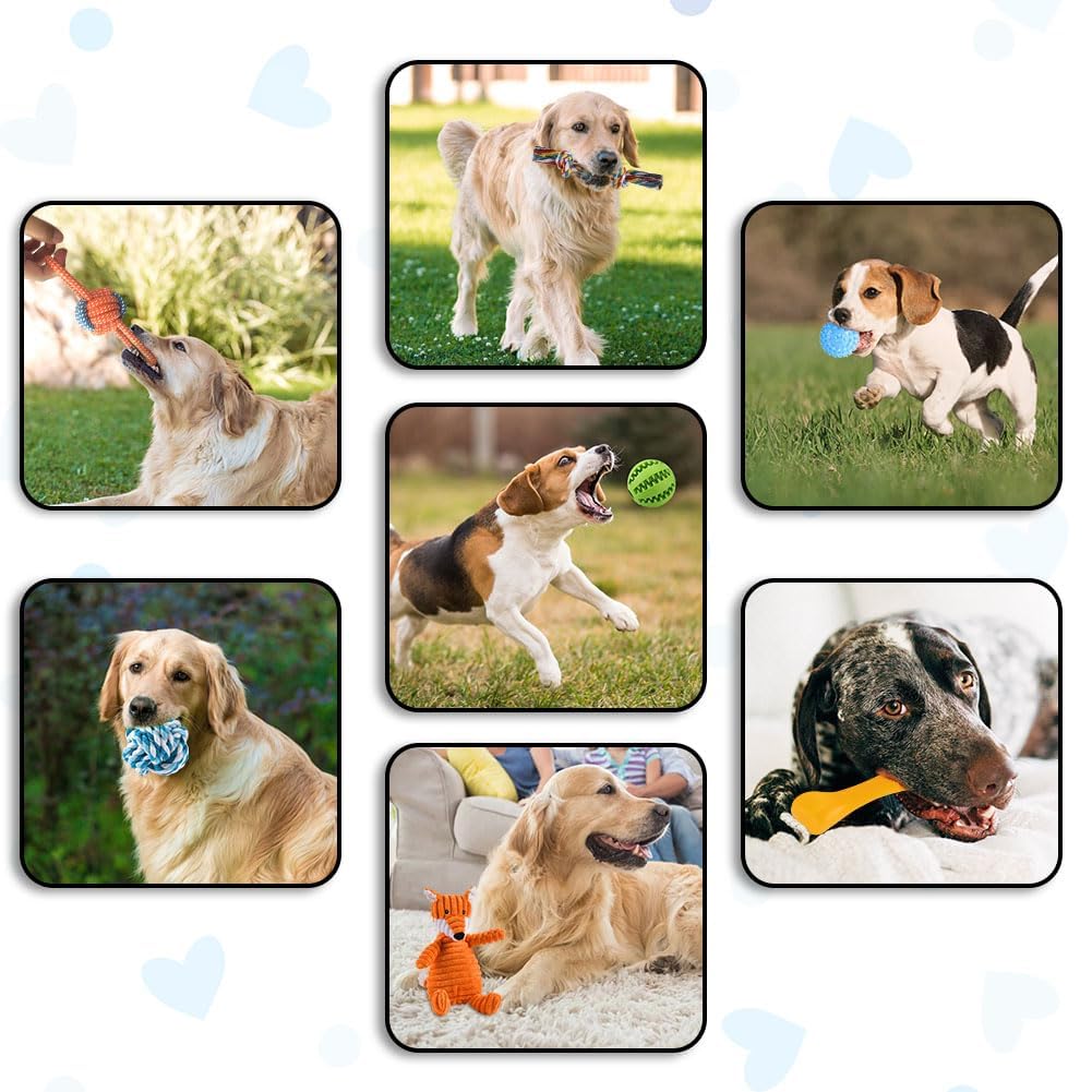 Ensemble de jouets pour Chiens, Jouet pour Chien Petits Chiens, Peluche avec Couineur, Jouet à mâcher Grinçant pour Petits Chiens Moyens, Peluche