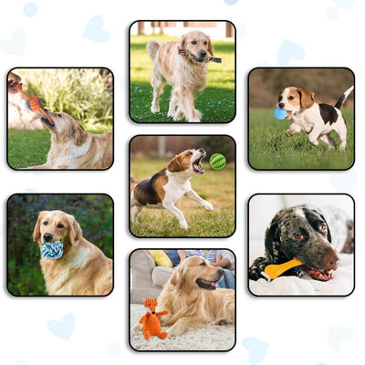 Ensemble de jouets pour Chiens, Jouet pour Chien Petits Chiens, Peluche avec Couineur, Jouet à mâcher Grinçant pour Petits Chiens Moyens, Peluche