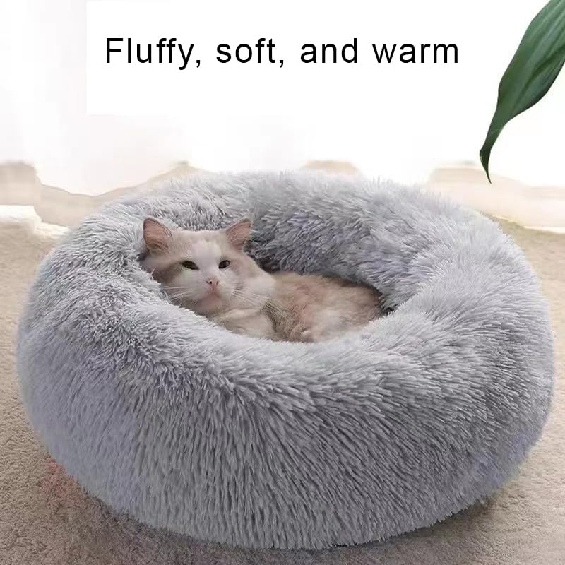 Cat Beds for Indoor Cats, Dog Bed for Small Melium Large Dogs