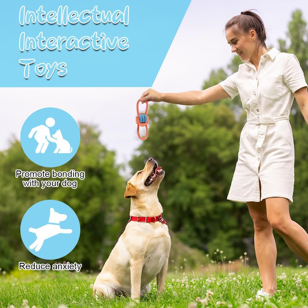 Ensemble de jouets pour Chiens, Jouet pour Chien Petits Chiens, Peluche avec Couineur, Jouet à mâcher Grinçant pour Petits Chiens Moyens, Peluche