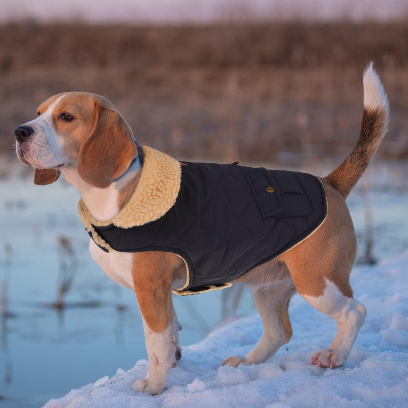Winter Coat Dog Coat, Warm Winter Jackets with Fleece for Dogs