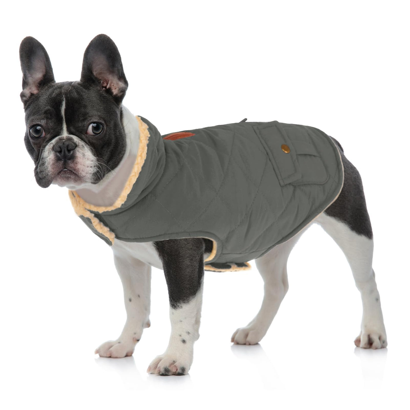 Winter Coat Dog Coat, Warm Winter Jackets with Fleece for Dogs
