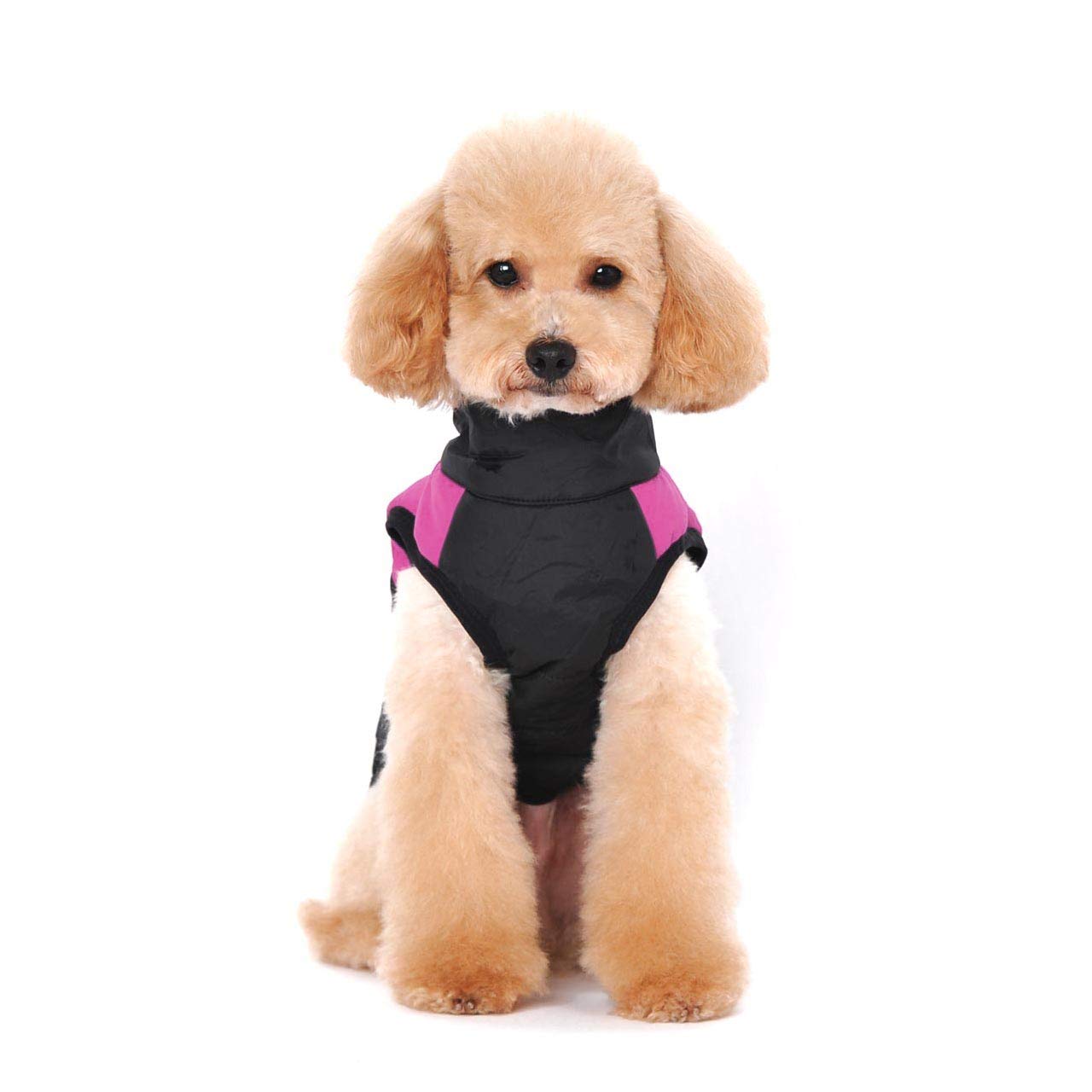 Winter Warm Pet Dog Clothes Small Waterproof