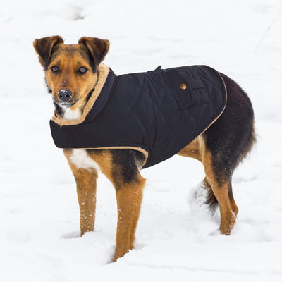 Winter Coat Dog Coat, Warm Winter Jackets with Fleece for Dogs