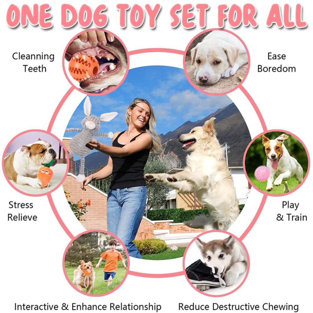 10Pcs jouets pour petits chiens, ensemble de jouets en peluche pour chiens, grinçants