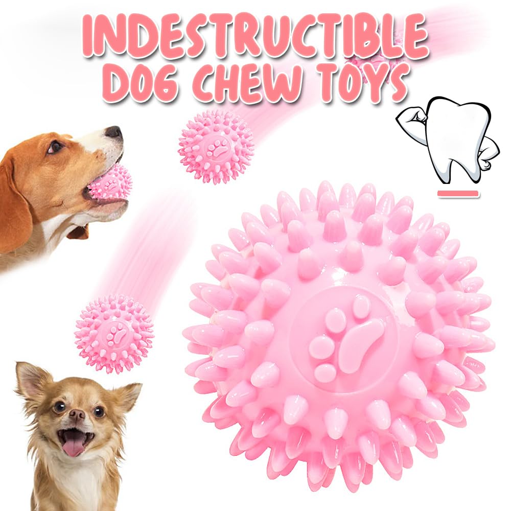 10Pcs jouets pour petits chiens, ensemble de jouets en peluche pour chiens, grinçants