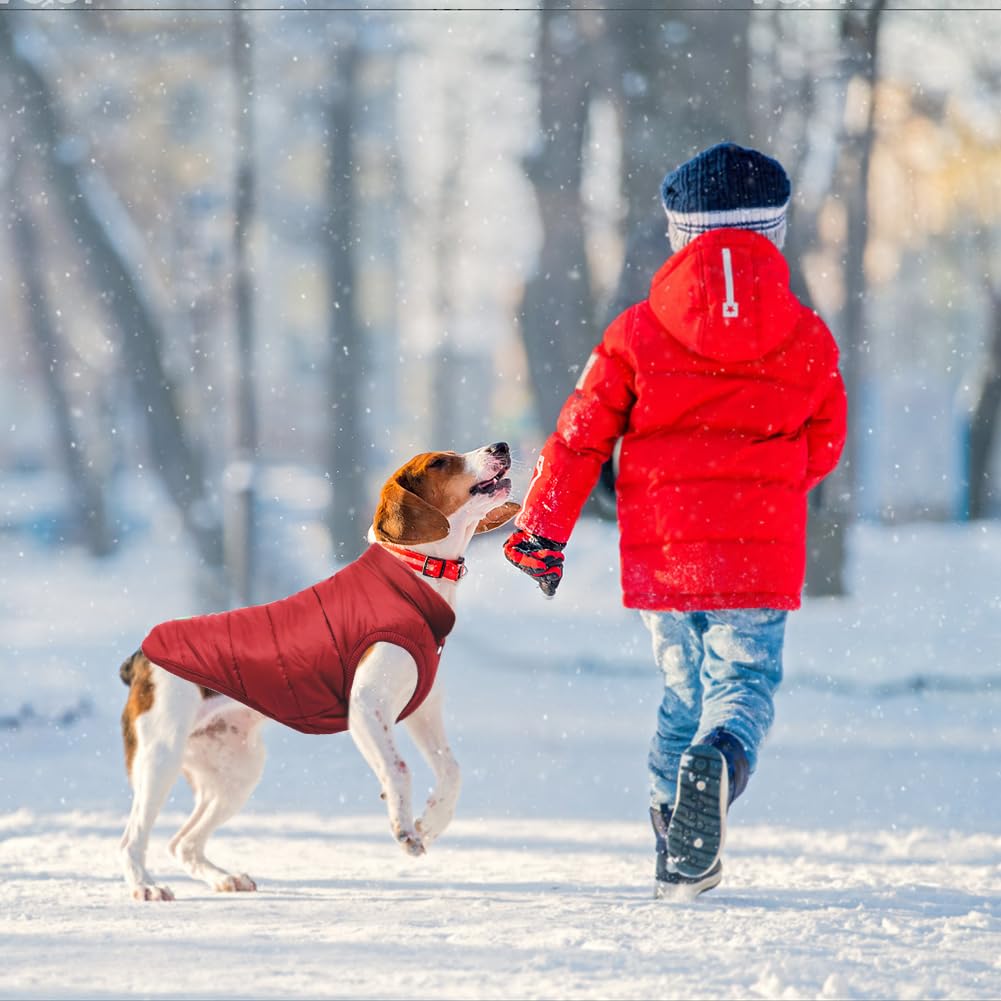 Dog Warm Jacket Dog Clothes Dog Cozy Jacket