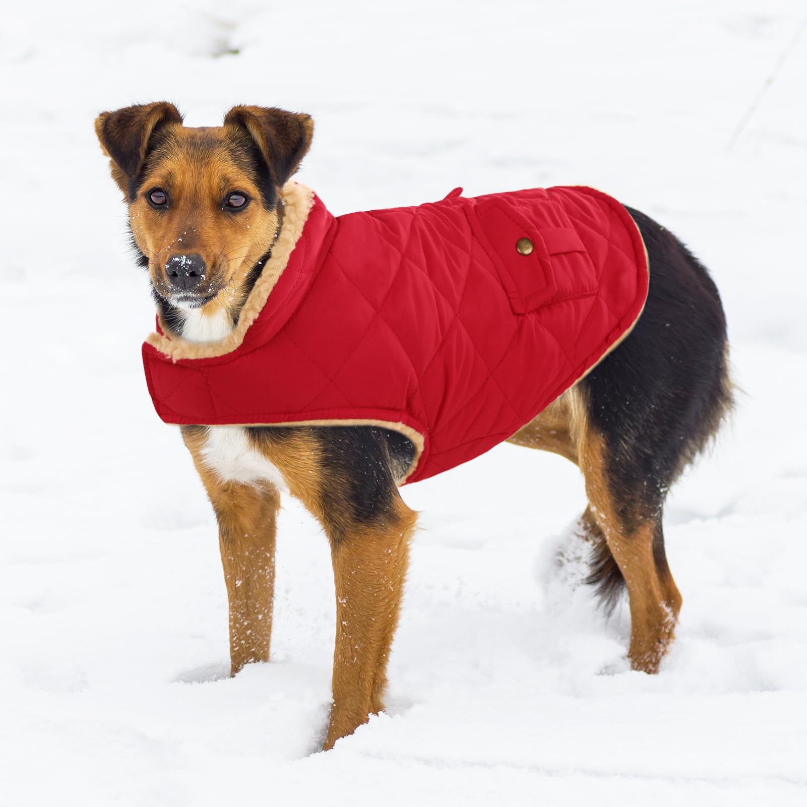 Wintermantel Hundemantel, Warme Winterjacken mit Fleece für Hunde