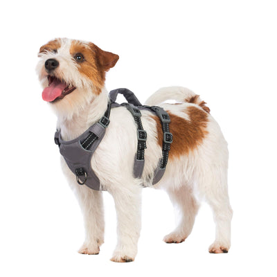 Reflective Dog Harness with Handle