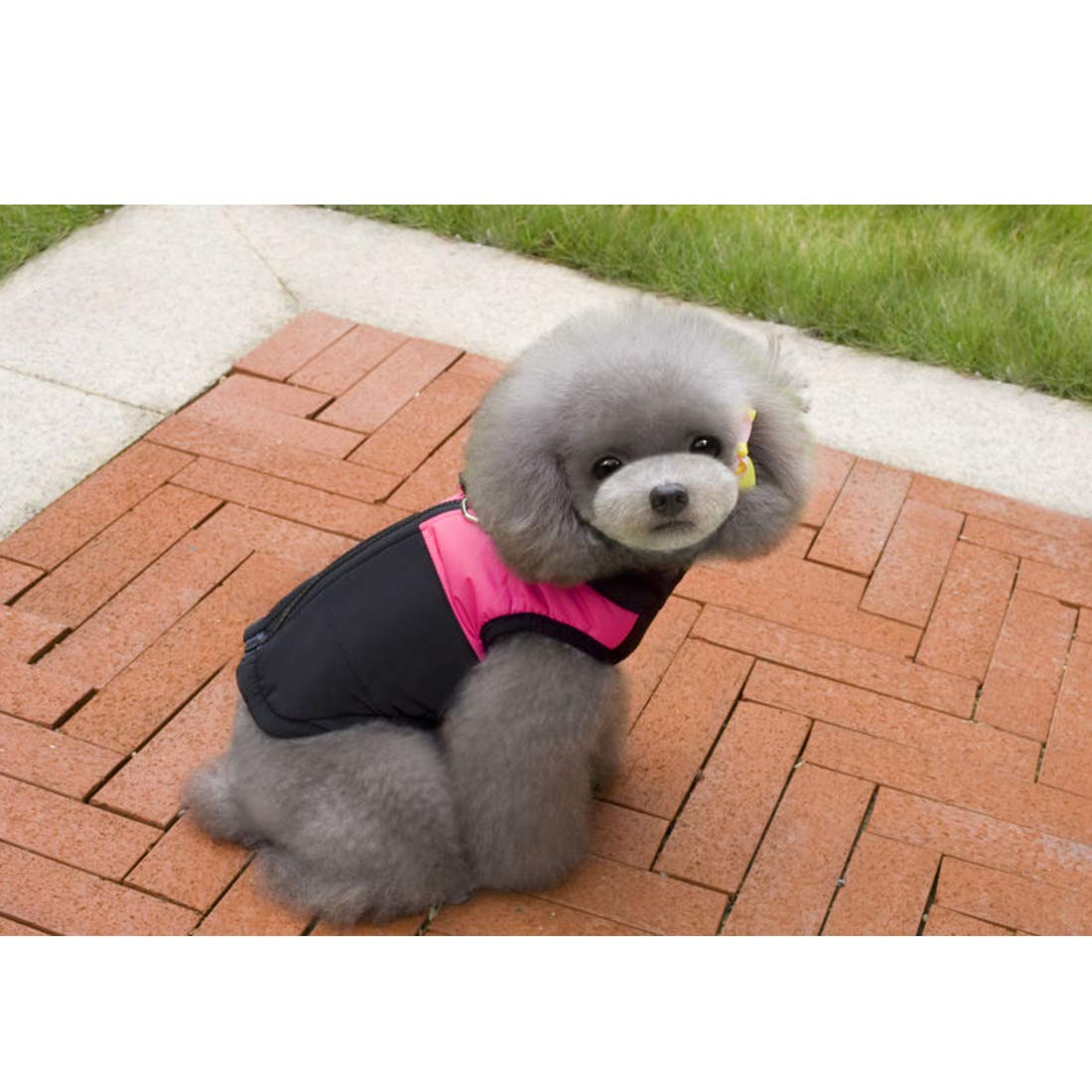 Winter Warm Pet Dog Clothes Small Waterproof