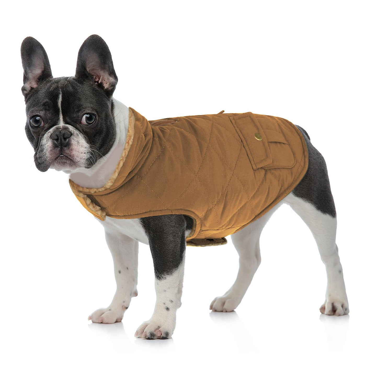 Winter Coat Dog Coat, Warm Winter Jackets with Fleece for Dogs