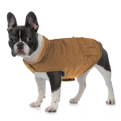 Winter Coat Dog Coat, Warm Winter Jackets with Fleece for Dogs