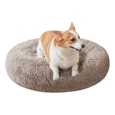 Cat Beds for Indoor Cats, Dog Bed for Small Melium Large Dogs