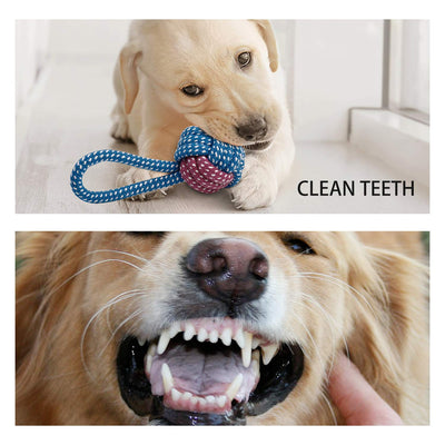 Jouets pour chiots - 7 pièces Jouets durables pour chiots / petits chiens - Jouets à mâcher et jouets à faire grincer - Coton naturel et non toxique