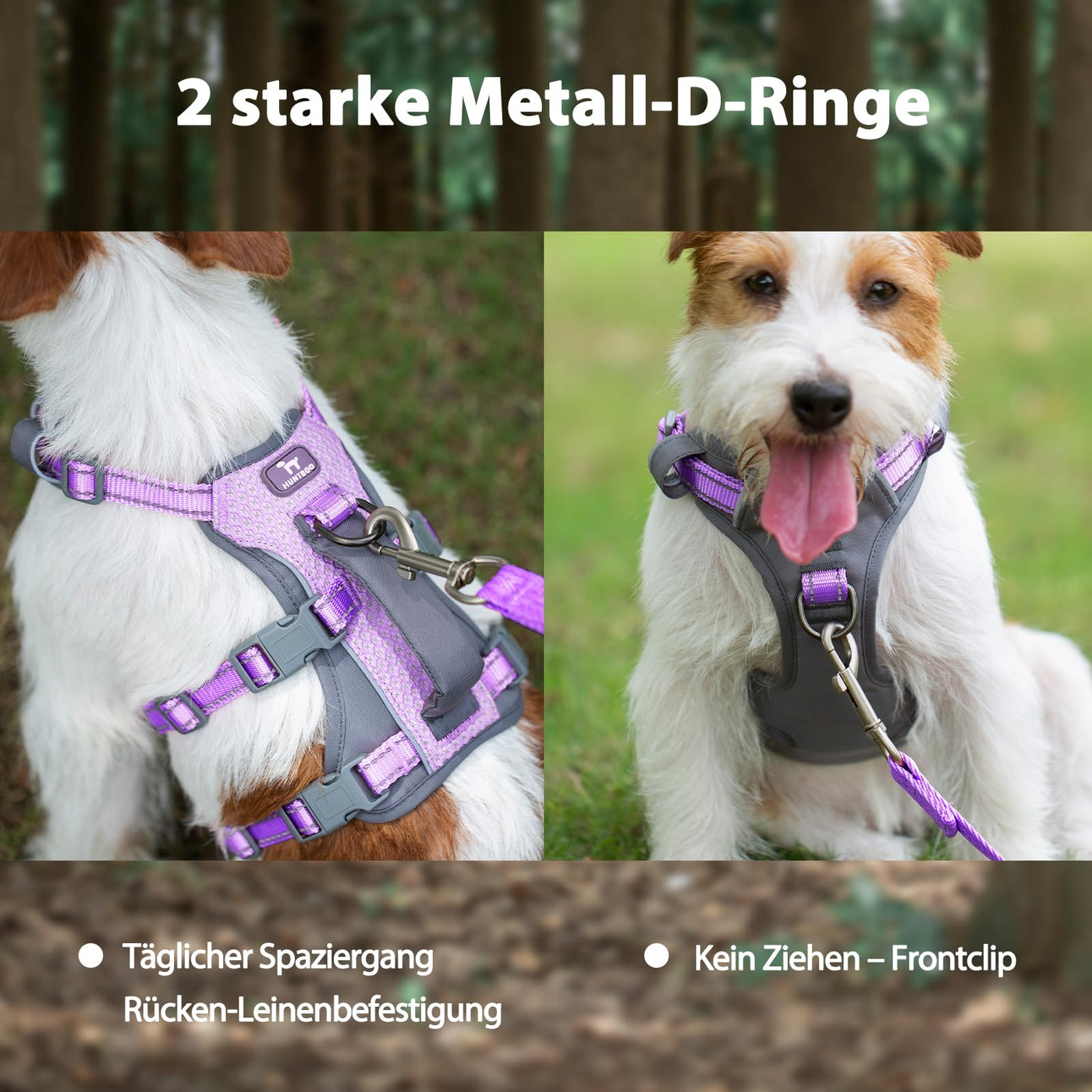 Reflective Dog Harness with Handle