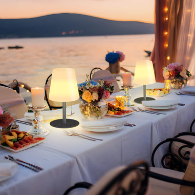 LED Outdoor Table Lamp with 8 Colors Cordless Lamp