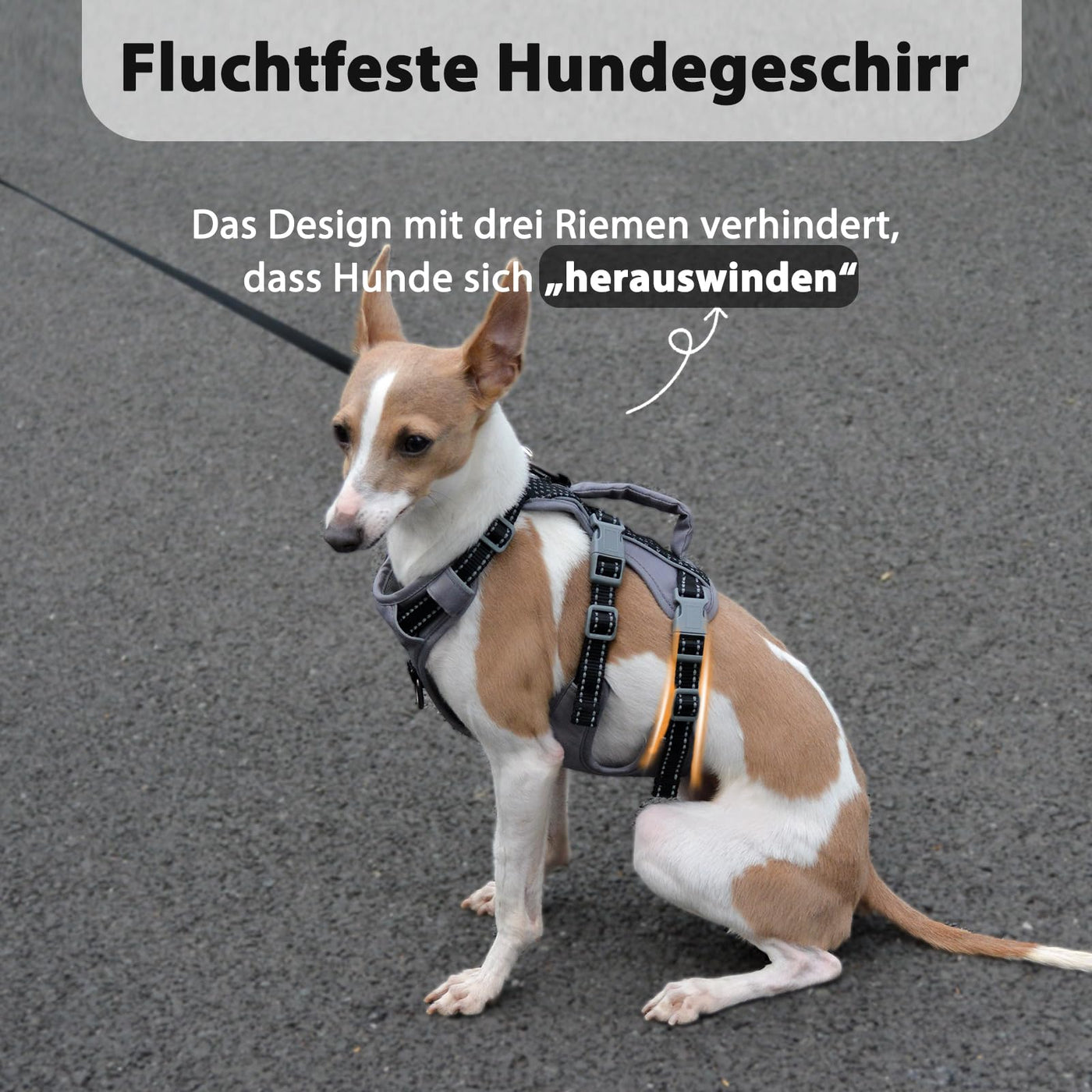 Reflective Dog Harness with Handle