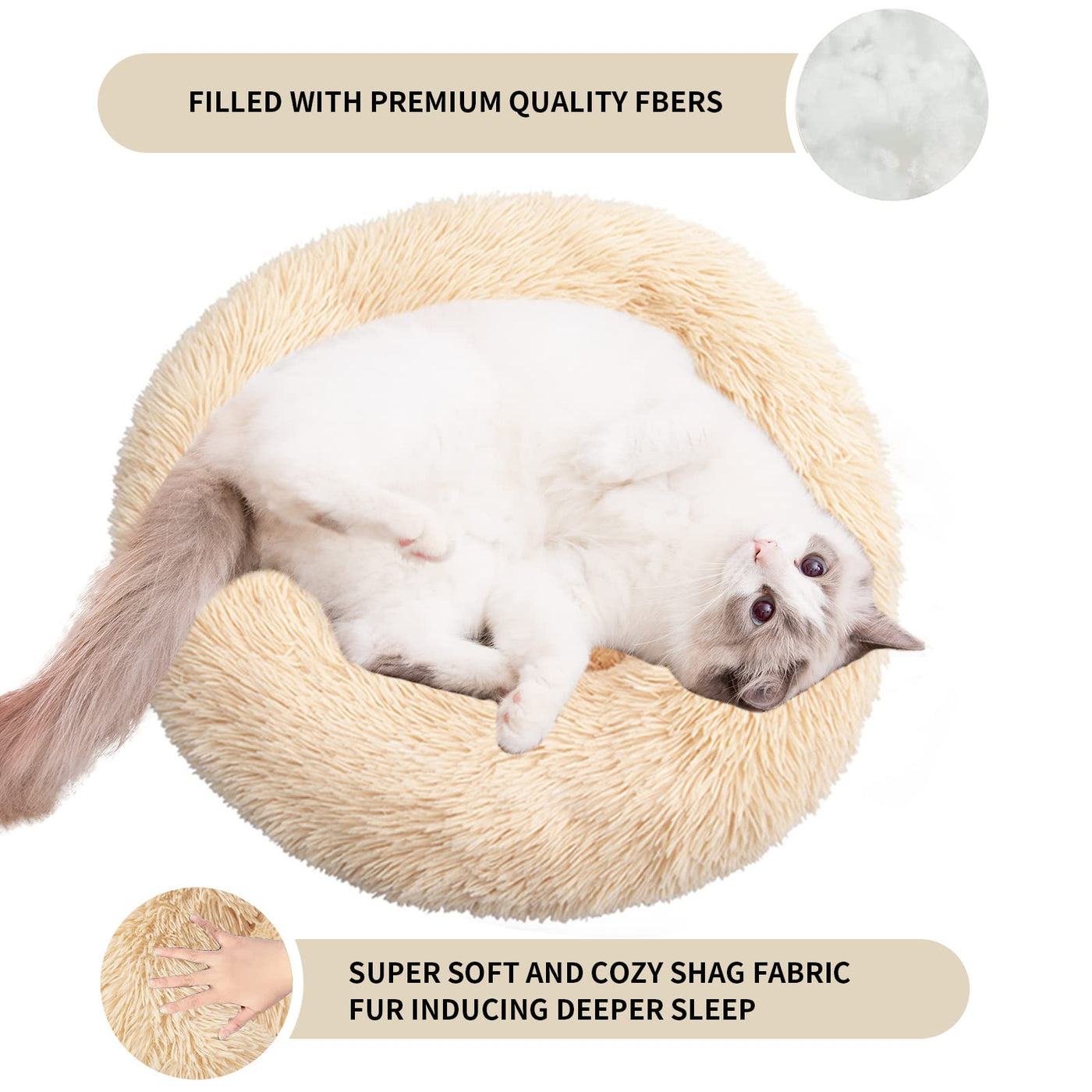 Cat beds for Indoor cats