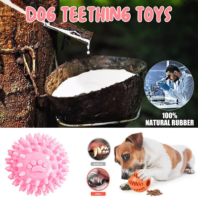 10Pcs jouets pour petits chiens, ensemble de jouets en peluche pour chiens, grinçants