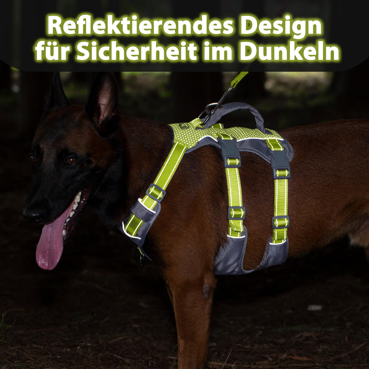 Harnais Réfléchissant pour Chien avec Poignée