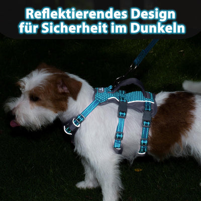 Harnais Réfléchissant pour Chien avec Poignée