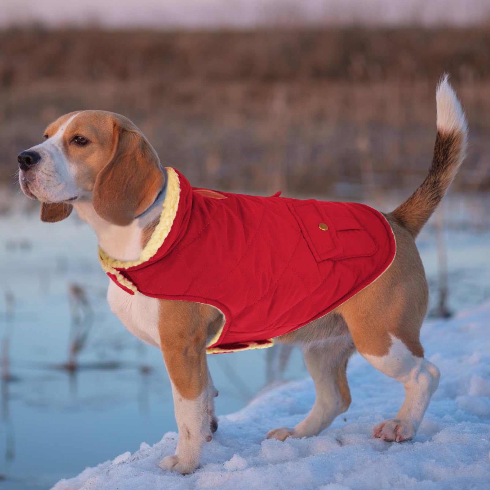Wintermantel Hundemantel, Warme Winterjacken mit Fleece für Hunde