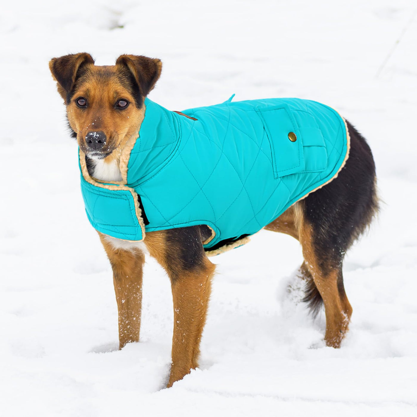 Winter Coat Dog Coat, Warm Winter Jackets with Fleece for Dogs
