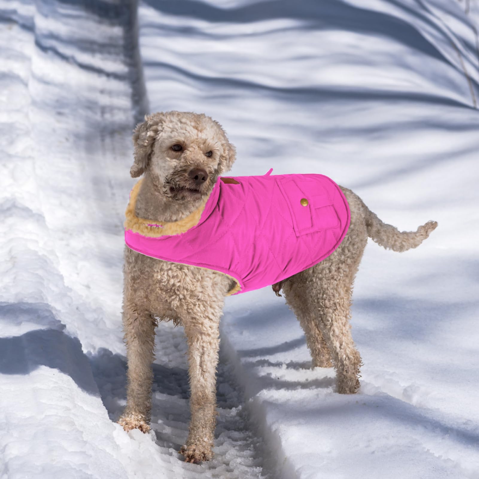Wintermantel Hundemantel, Warme Winterjacken mit Fleece für Hunde