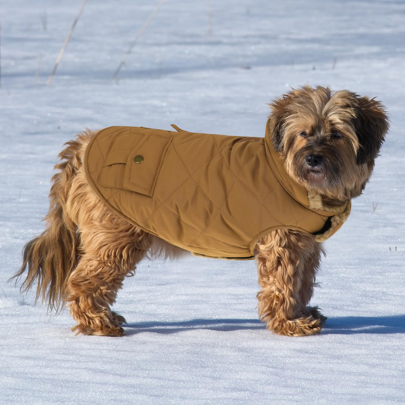 Winter Coat Dog Coat, Warm Winter Jackets with Fleece for Dogs