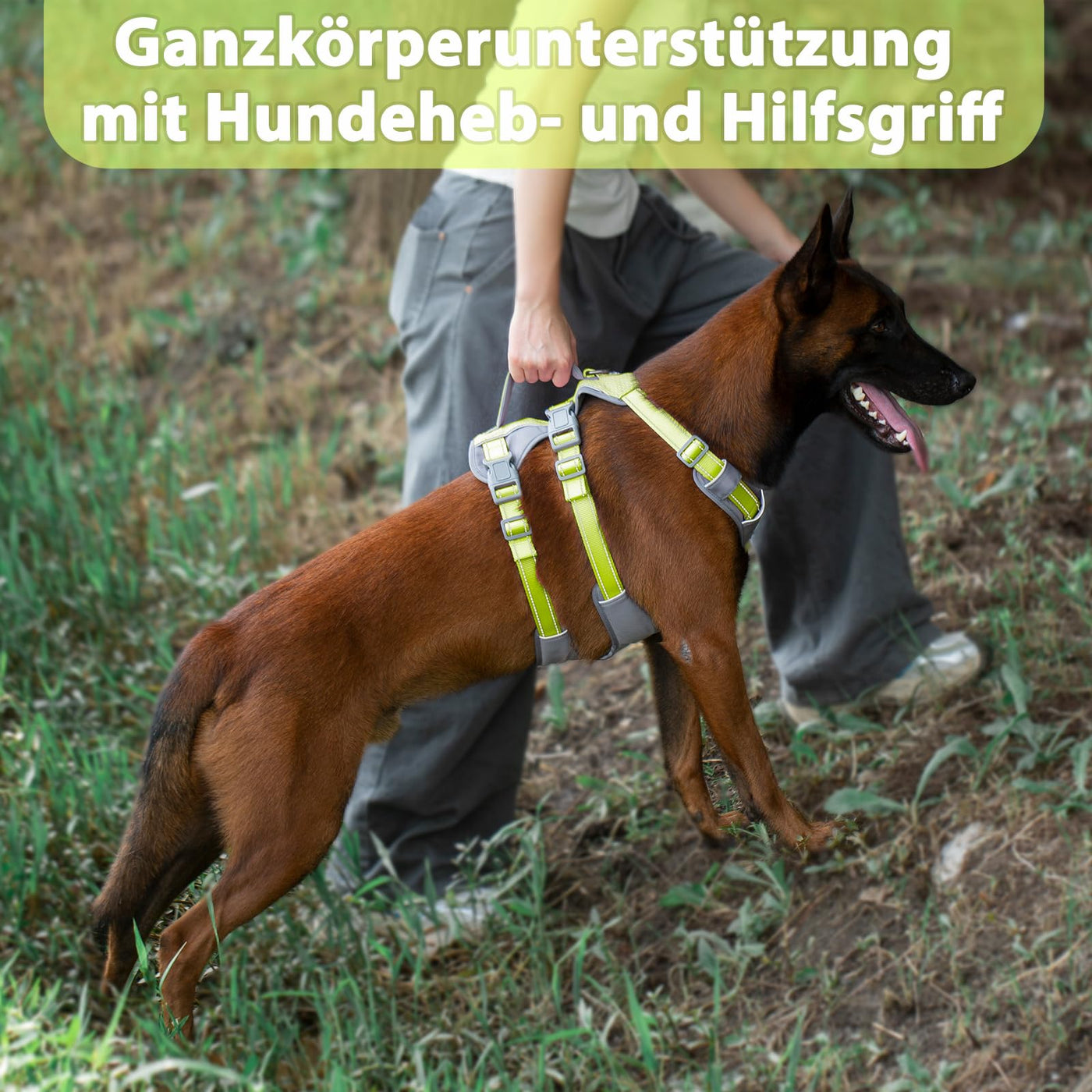 Harnais Réfléchissant pour Chien avec Poignée